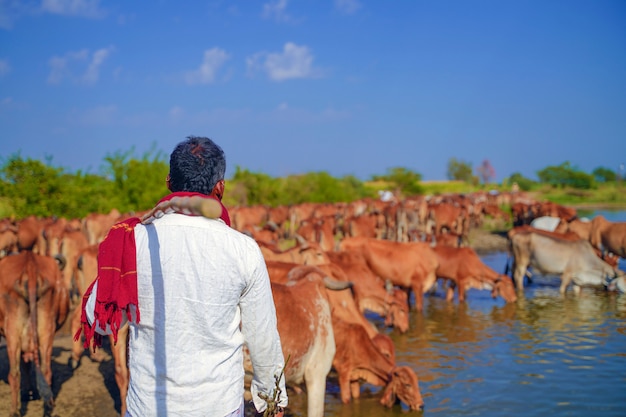 彼の牛を持つ若いインドの農家