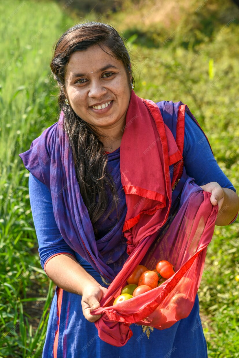 Premium Photo | A young Indian woman farmer picking fresh tomatoes in