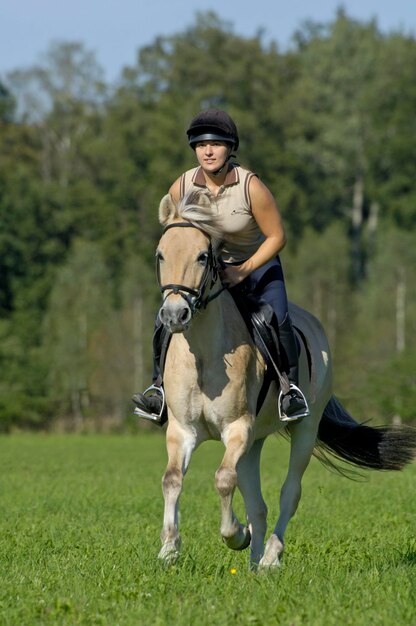 ノルウェー馬の背中に乗って疾走する若い女性