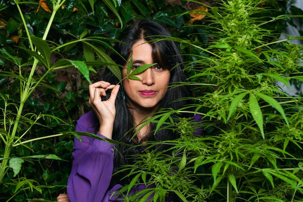 Young latin woman among medicinal cannabis plants while raising one of her eyes with a marijuana leaf