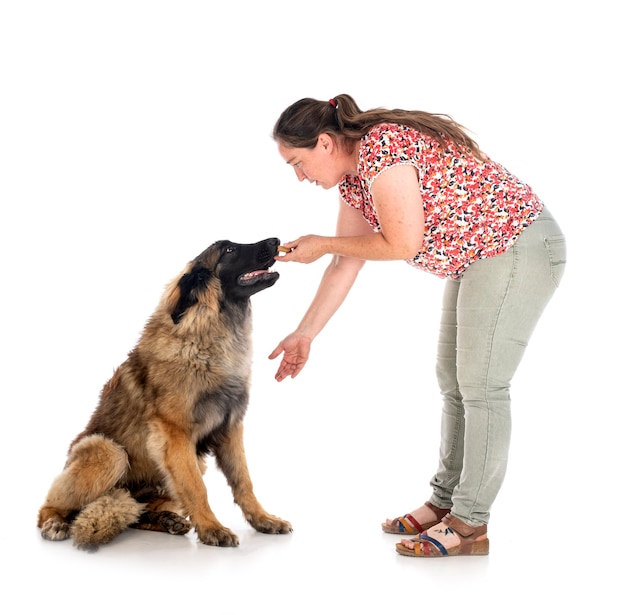 Young Leonberger and woman in front of white background