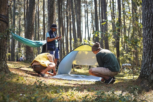 다양한 젊은 남성 친구들이 소나무 숲 공원에 텐트를 치고 있다.