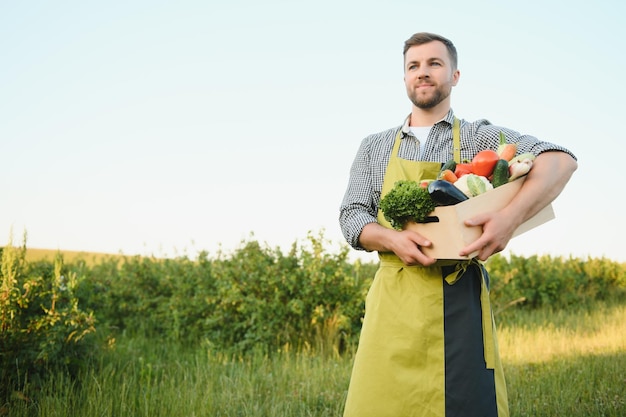 화창한 여름날 푸른 들판을 걷고 수확 야채가 든 상자를 나르는 젊은 남성 농부
