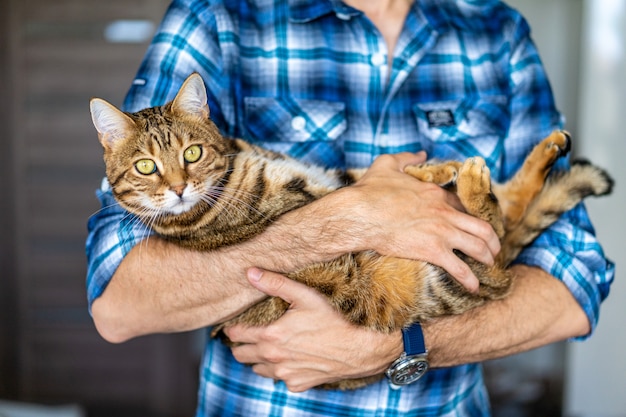 Giovane maschio che tiene in mano un gatto tigre del bengala