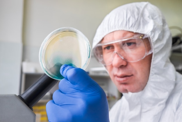 若い男性の検査技師が寒天と細菌が付着したペトリ皿をチェックします。研究室で研究者を開く。生物学的研究