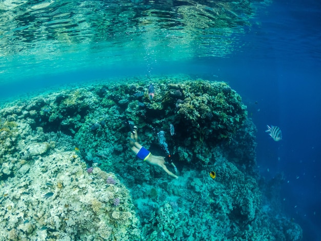 홍해의 화려한 산호초에서 젊은 남자 다이빙
