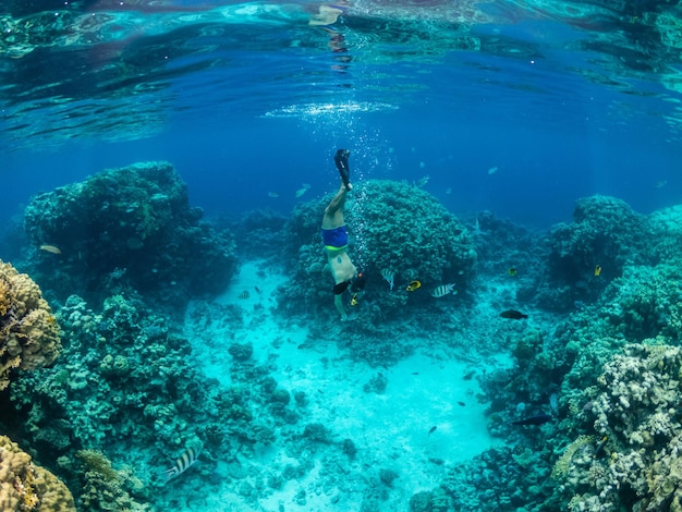 Young man dive at coral reef in tropical sea