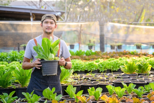 Giovane uomo che fa affari in agricoltura coltivare ortaggi biologici in vendita online lattuga biologica insalata di quercia verde lattuga di quercia rossa coltivata nel terreno senza l'uso di prodotti chimici sicuri dai pesticidi