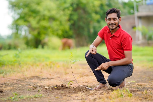 Young man doing tree plantation at field