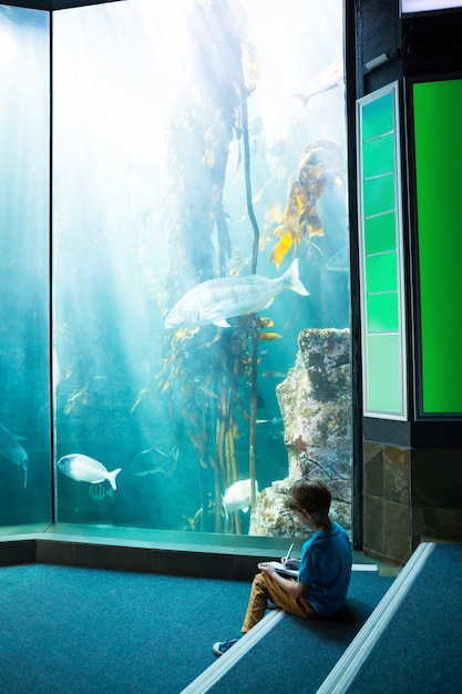 Young man drawing a fish in a tank 