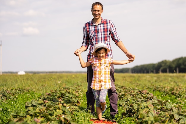 Young man farmer working in the garden, picking strawberries for his toddler daughter