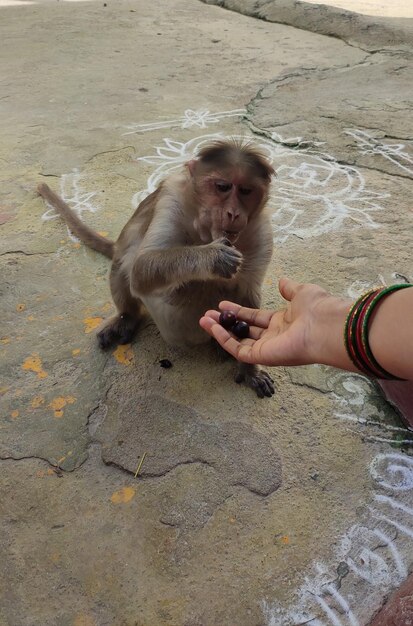 Young man feeding outdoors