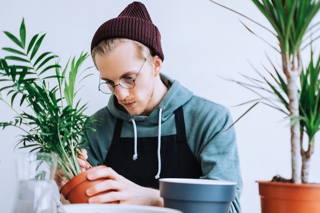 Young man gardener in eyeglasses transplanting plant in pots on the white wooden table and using tablet computer