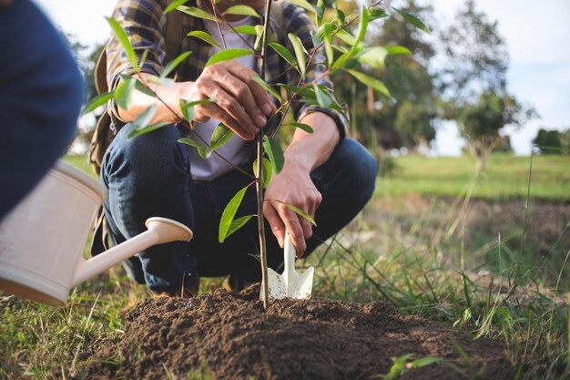 若い男の庭師が庭のガーデニングに木を植え、植物に水をまく