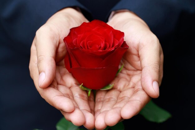 Photo a young man gave his girlfriend a box of roses on valentines day