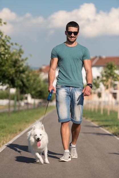 若い男とジャーマン・スピッツが公園を散歩し、犬をひもにつないでいる