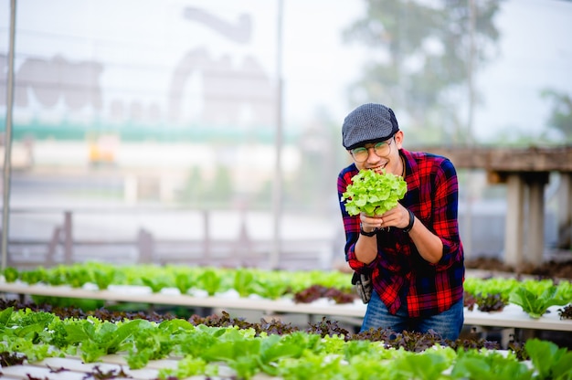 The young man and his salad garden And his happy smile