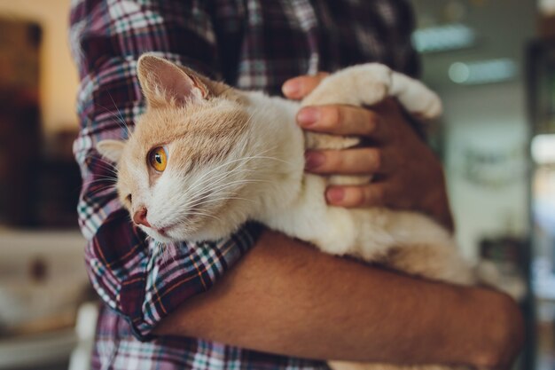 Young man holding a cat in his arms.