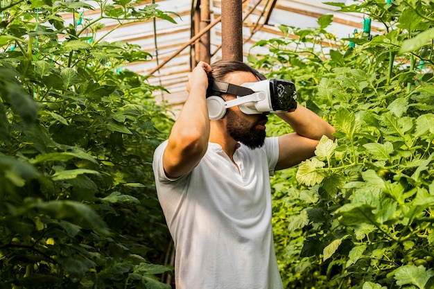 Young man holding her hands to her head and wearing VR set at the greenhouse