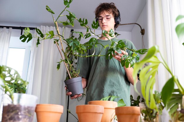 A young man holding mini monstera Rhaphidophora Cultivation and caring for indoor potted plants