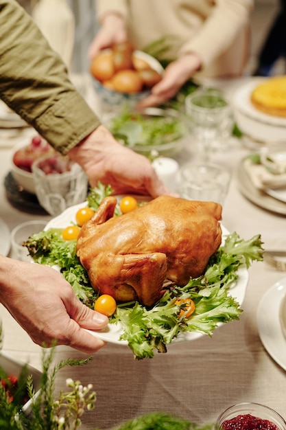 young man holding plate with roasted turkey and fresh vegetables