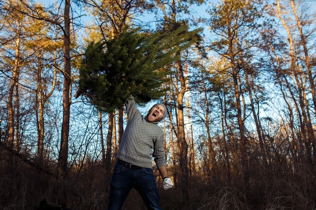 Young man is carrying christmas tree in the wood men with a beard bears home a Christmas tree.