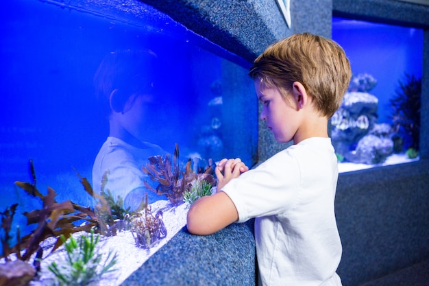 Young man looking at algae in a tank 