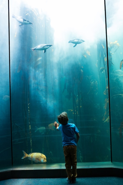 Young man looking at penguins in a tank 