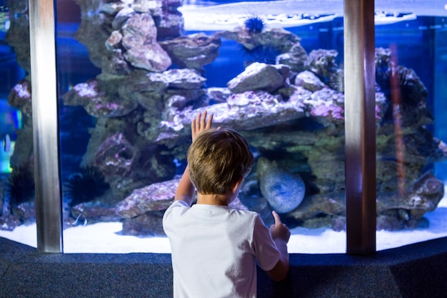 Young man looking at sea snake 