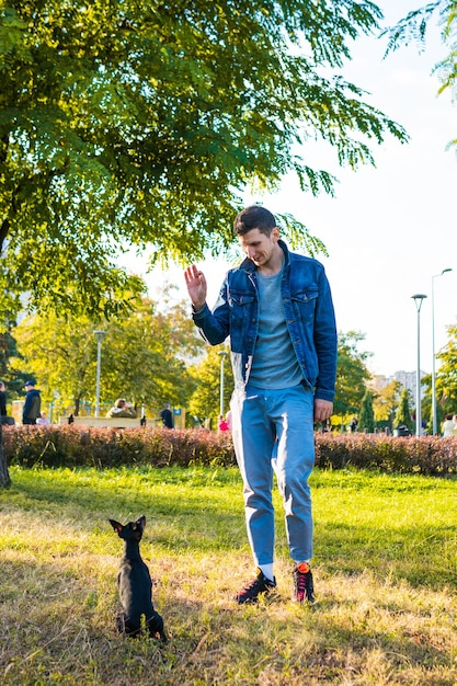 Young man playing and training his little dog outdoors. Black and Tan miniature pinscher female dog with owner in a park