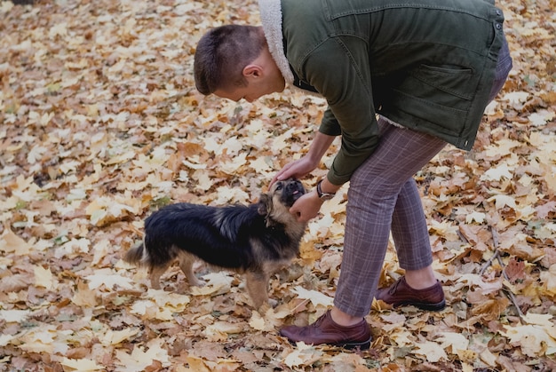 Giovane che gioca con il cane divertente nel parco di autunno. salva animali