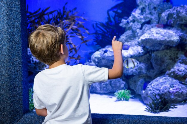 Young man pointing a stone in a tank 