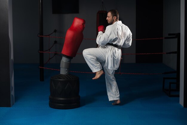 Young Man Practicing His Karate Moves  White Kimono  Black Belt