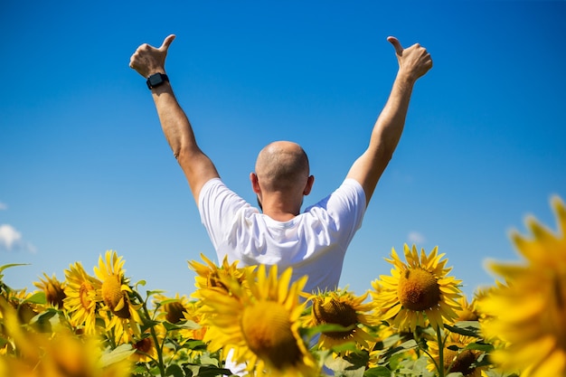 Young man raised his hands to the sky showing welcome gesture on sunflower field against blue sky.