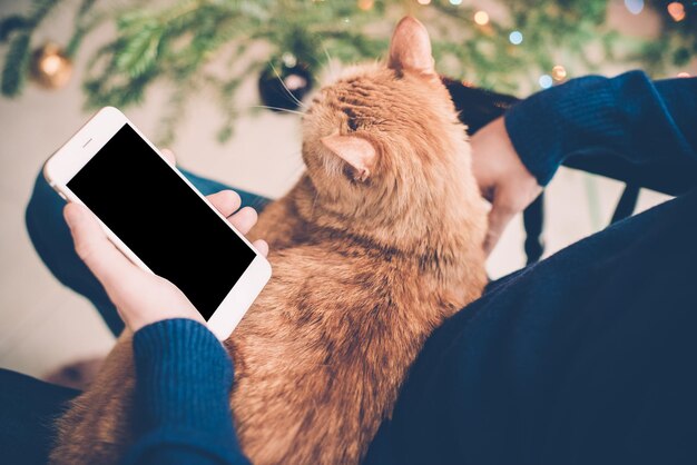 Молодой человек отдыхает дома с рыжей кошкой и смартфоном в руке