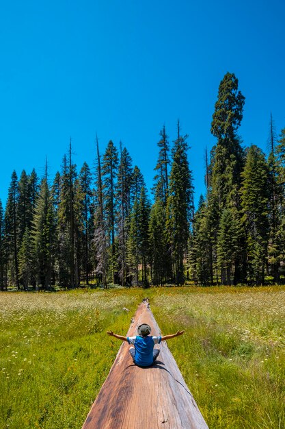 A young man in Sequoia National Park California United States