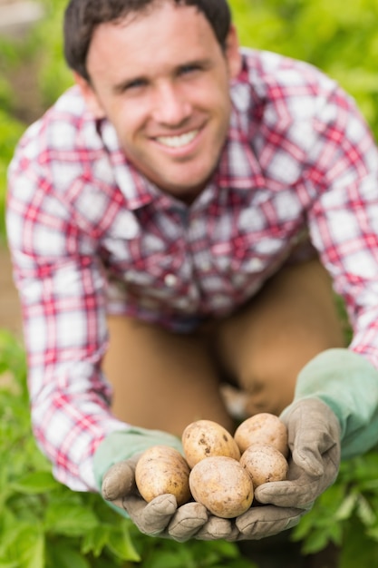 Young man showing some potatoes