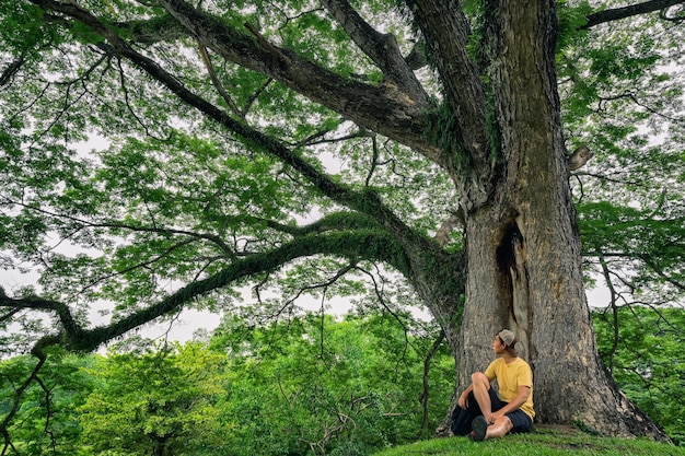 Foto giovane seduto sotto l'albero ispirazione motivazione libertà e concetto di ricreazione