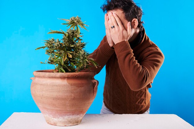 A young man surprised next to a marijuana plant with a blue background