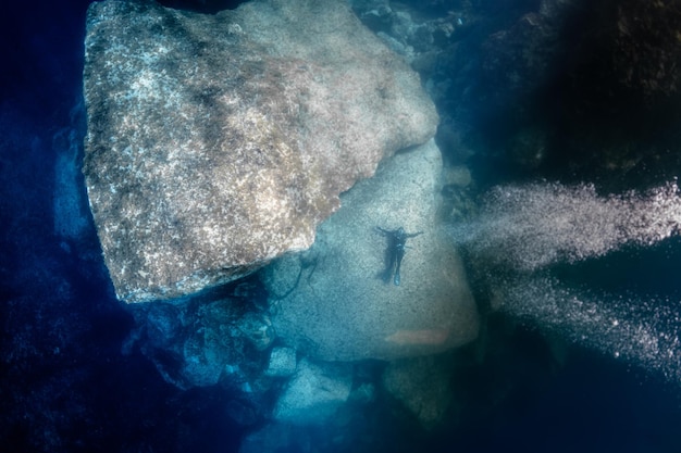 Young man swimming in sea