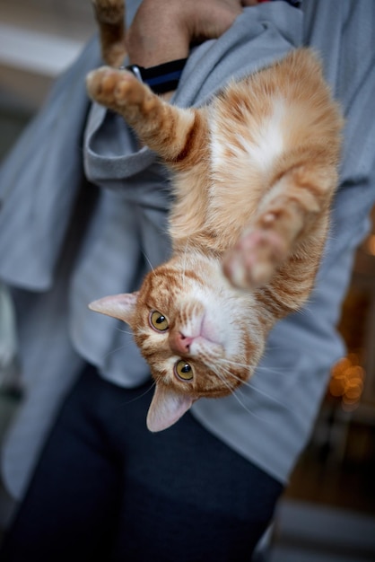 Young man in t shirt holding a cat.