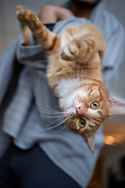 猫を抱いてTシャツを着た若い男。