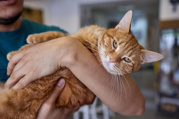 猫を保持しているTシャツの若い男