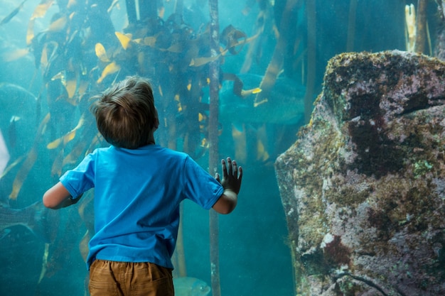 Young man touching a tank with algae