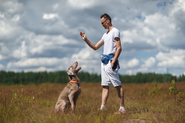 若い男は、フィールドで大きな犬を訓練します