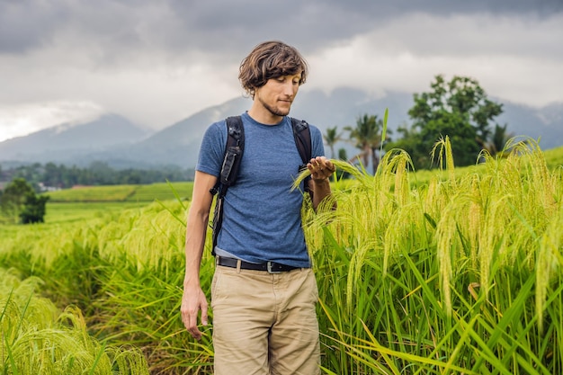 Young man traveler on Beautiful Jatiluwih Rice Terraces against the background of famous volcanoes in Bali, Indonesia