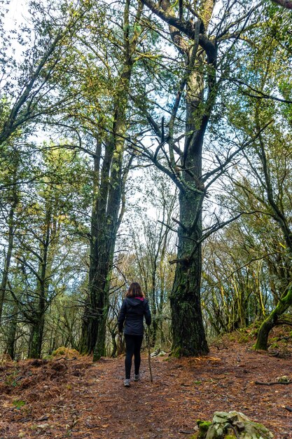 Un giovane trekking sul monte arno nel comune di mutriku nei paesi baschi di gipuzkoa in spagna