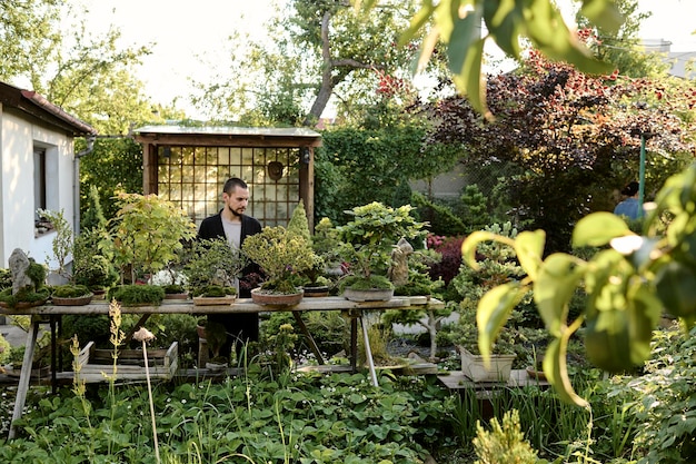 A young man use scissors to decorate the branches of a new bonsai tree in a bonsai garden