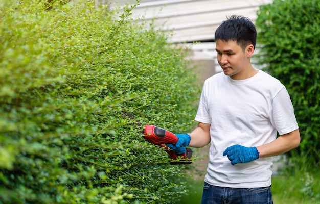 Young man using  cordless electric hedge cutting and trimming plant in garden at home