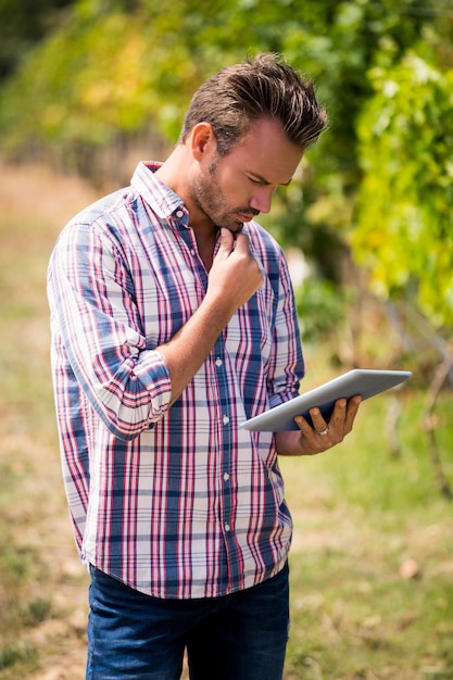 Giovane che per mezzo della compressa digitale alla vigna